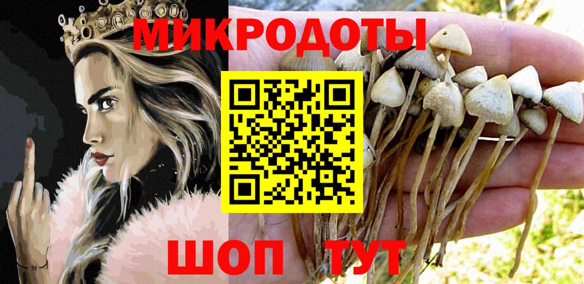 Похвистнево  Псилоцибиновые грибы Cubensis  Псилоцибиновые грибы GOLDEN TEACHER  Вход с VPN 